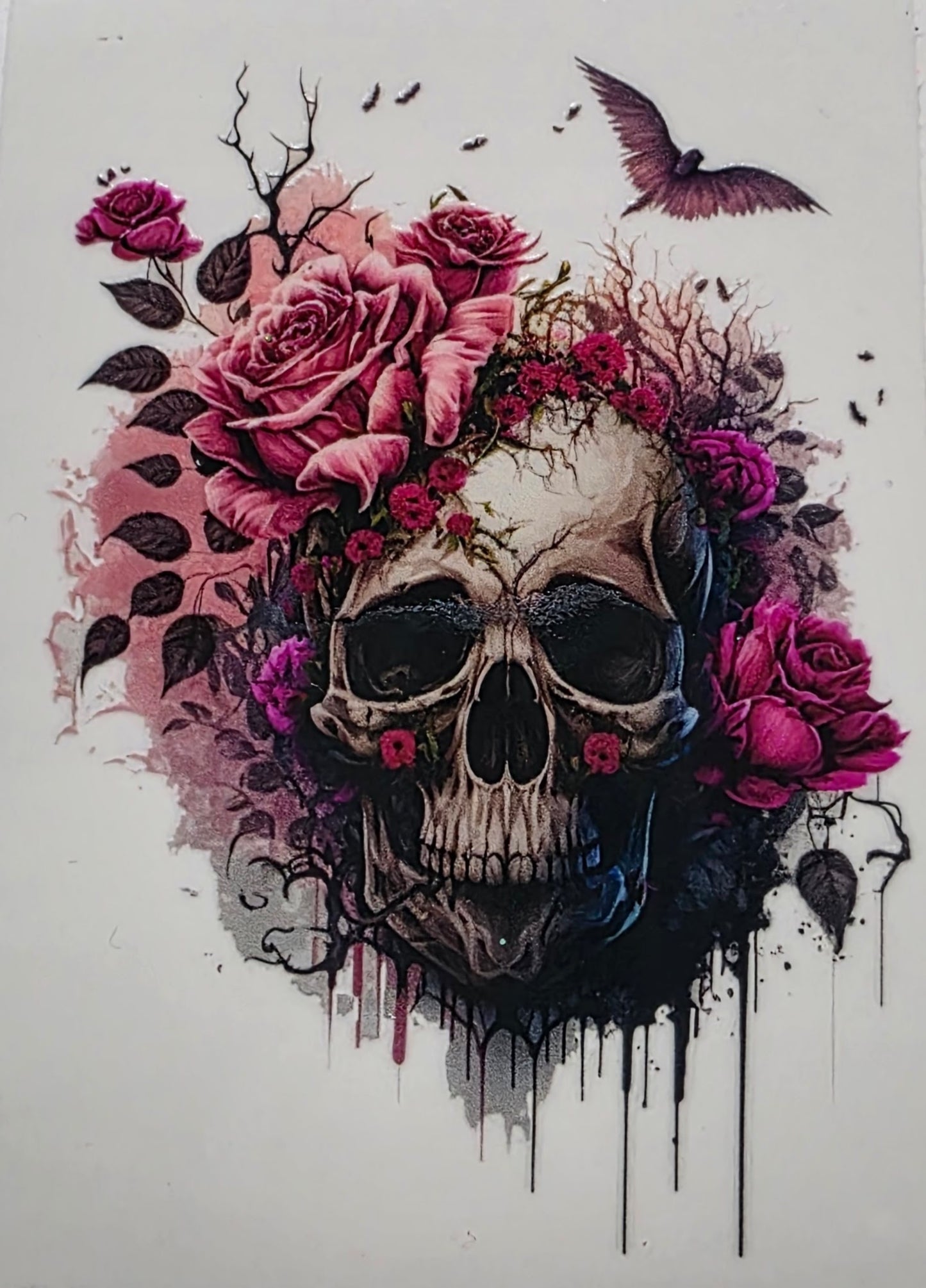 Skull