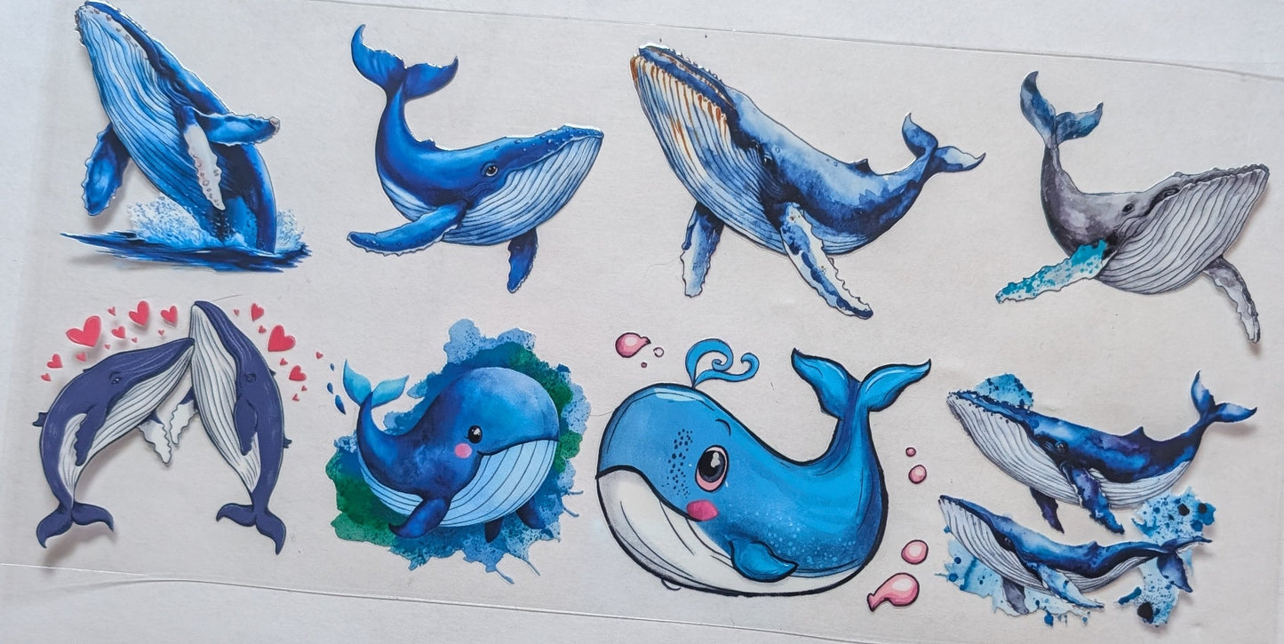 Whales