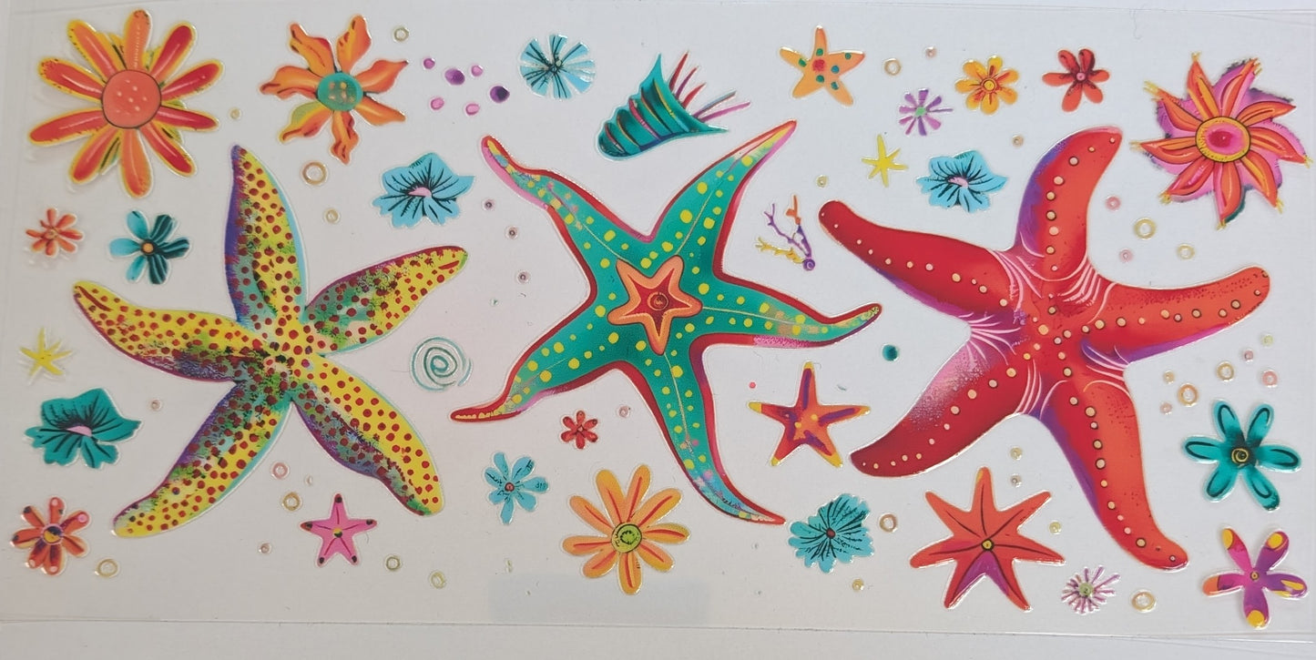Star Fish