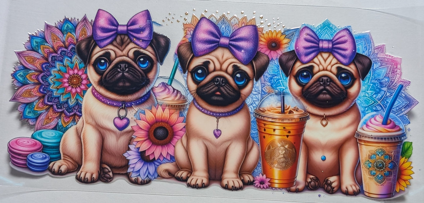 Pugs Dog