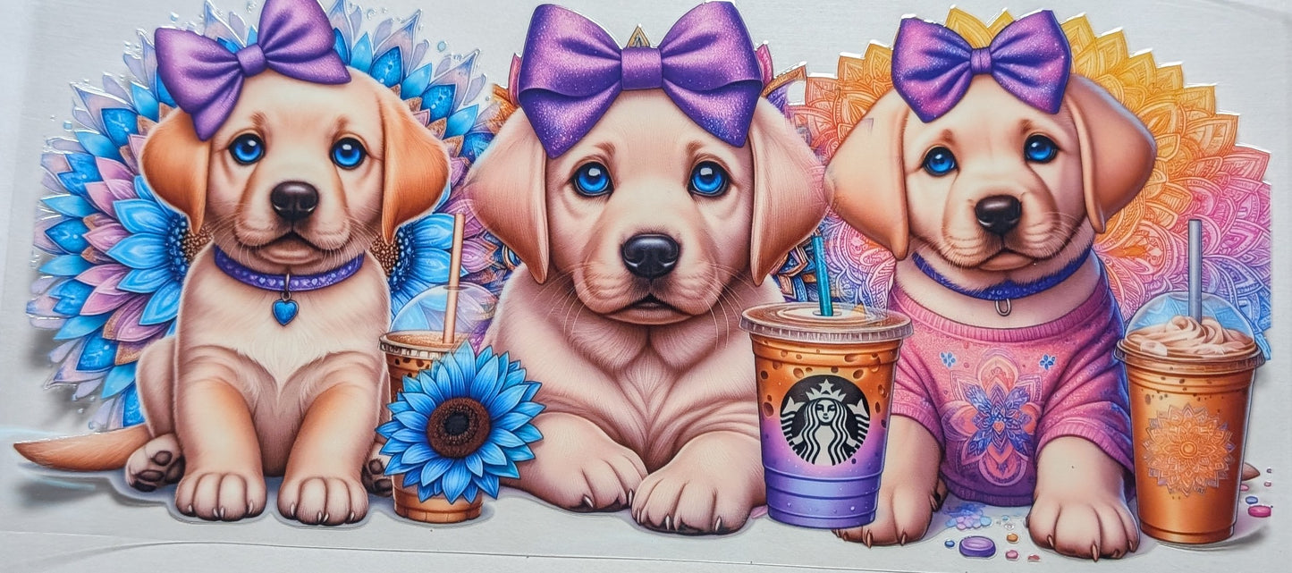 Labrador Dog