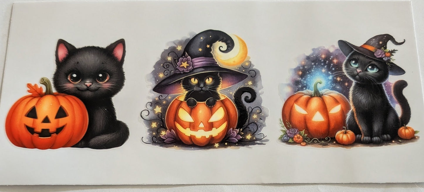 Black Cats #3
