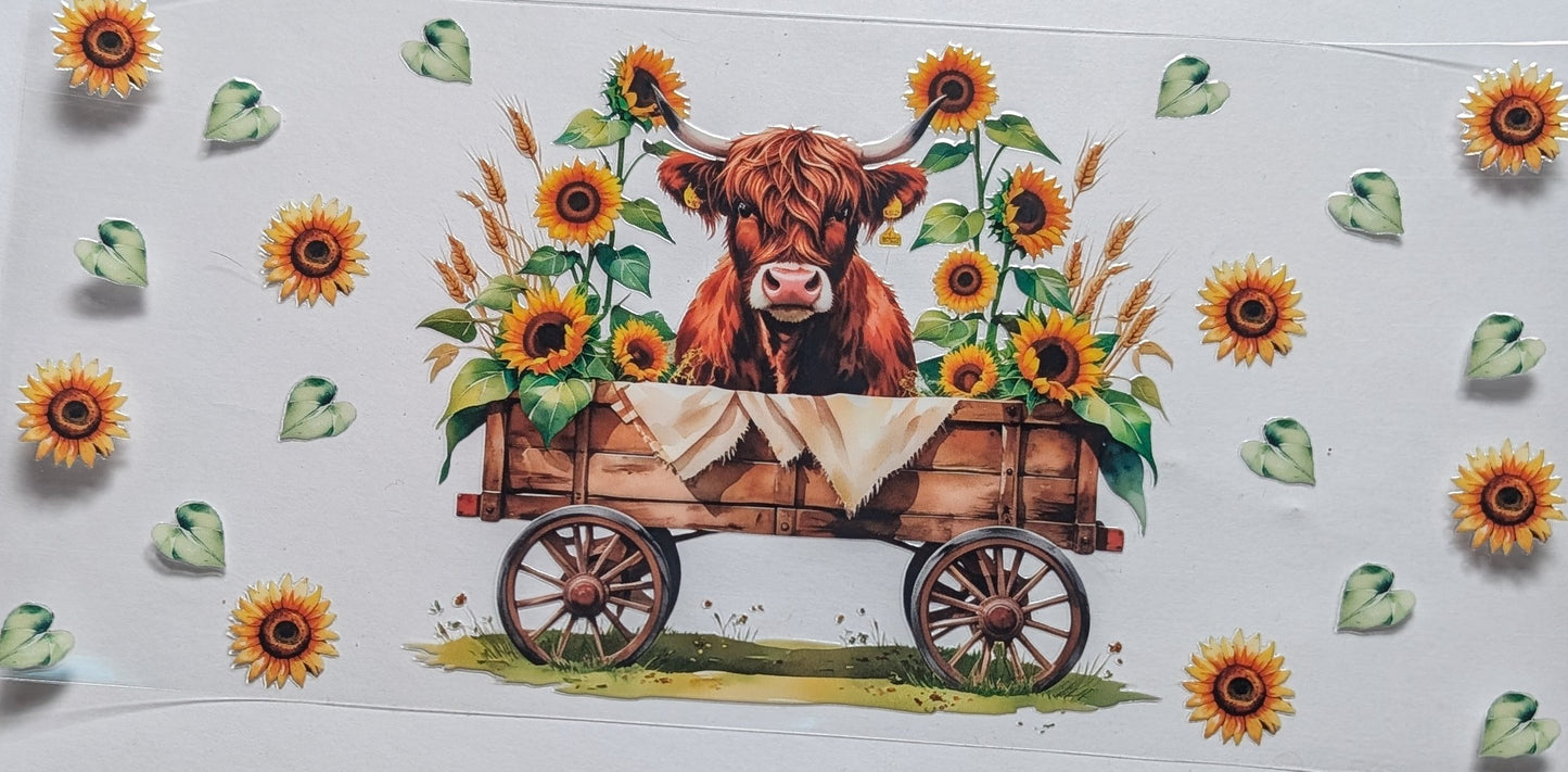 Hyland Cow