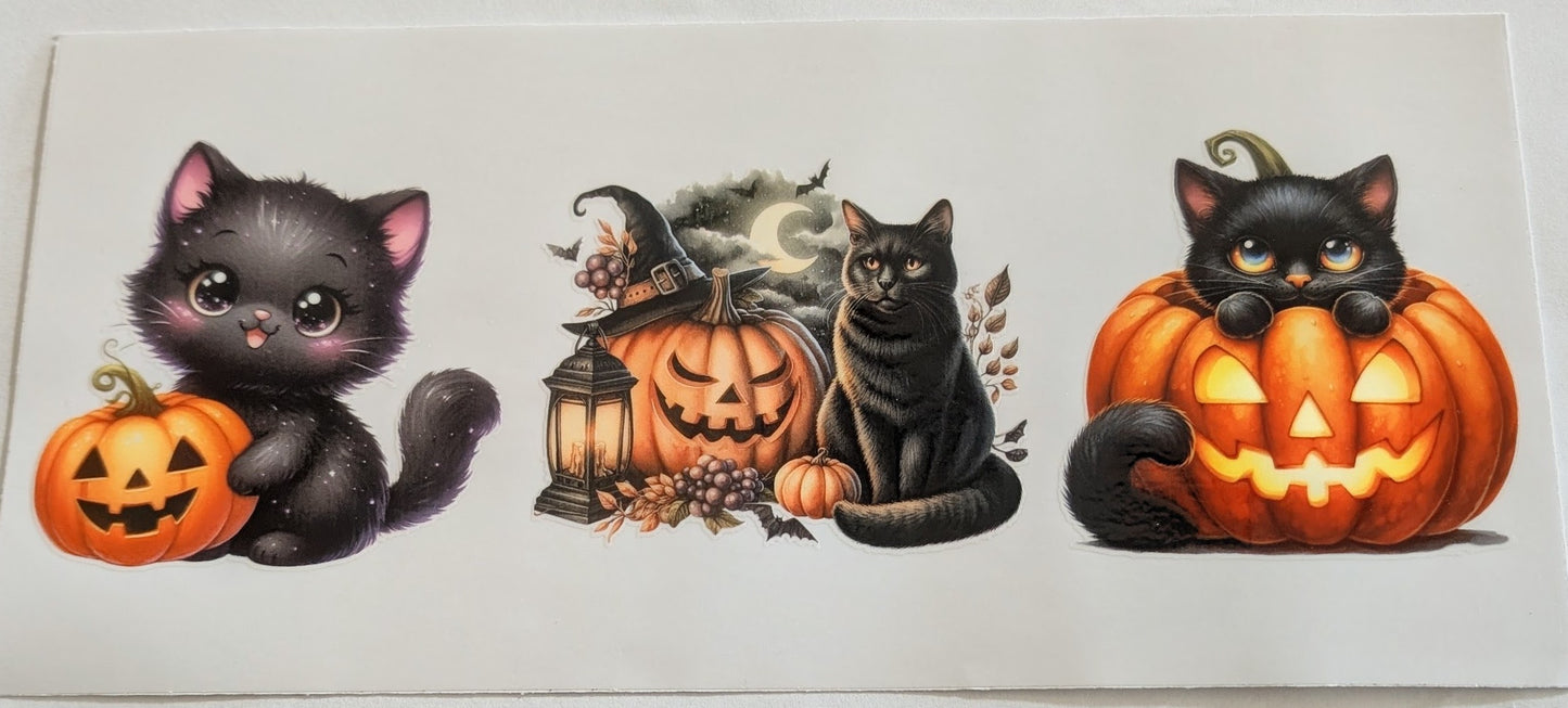 Black Cats #1