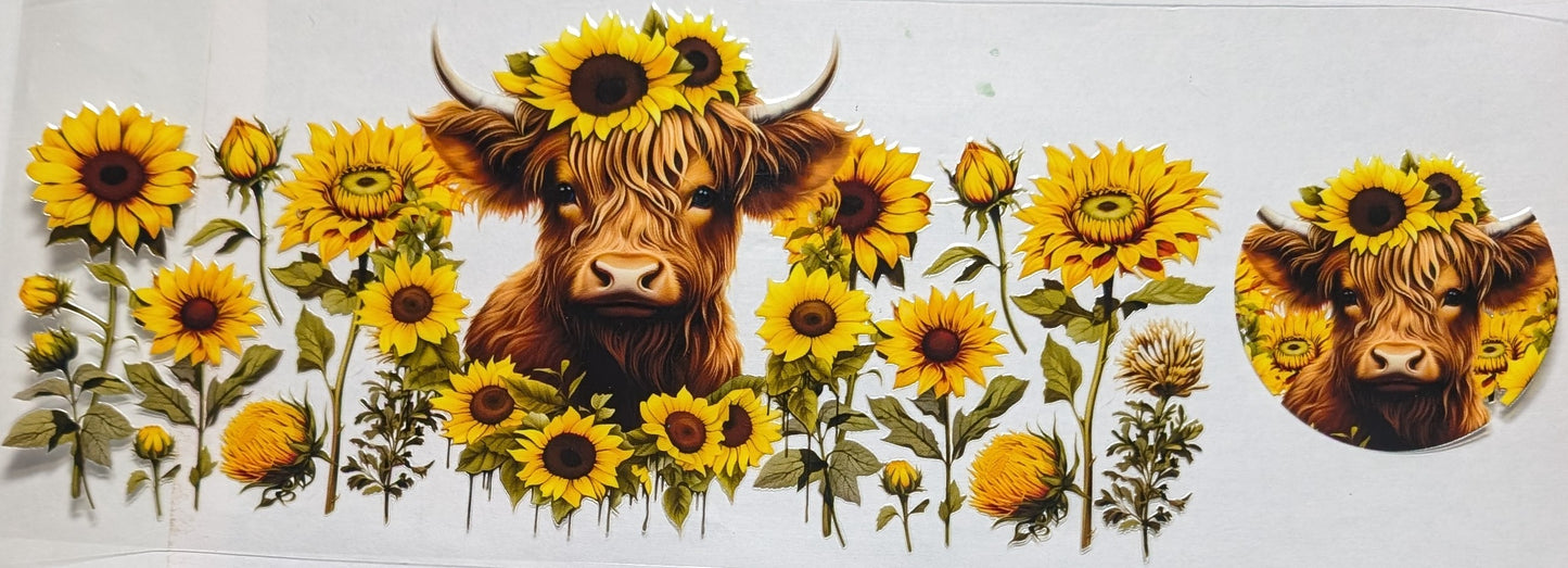 Sun Flower Cow