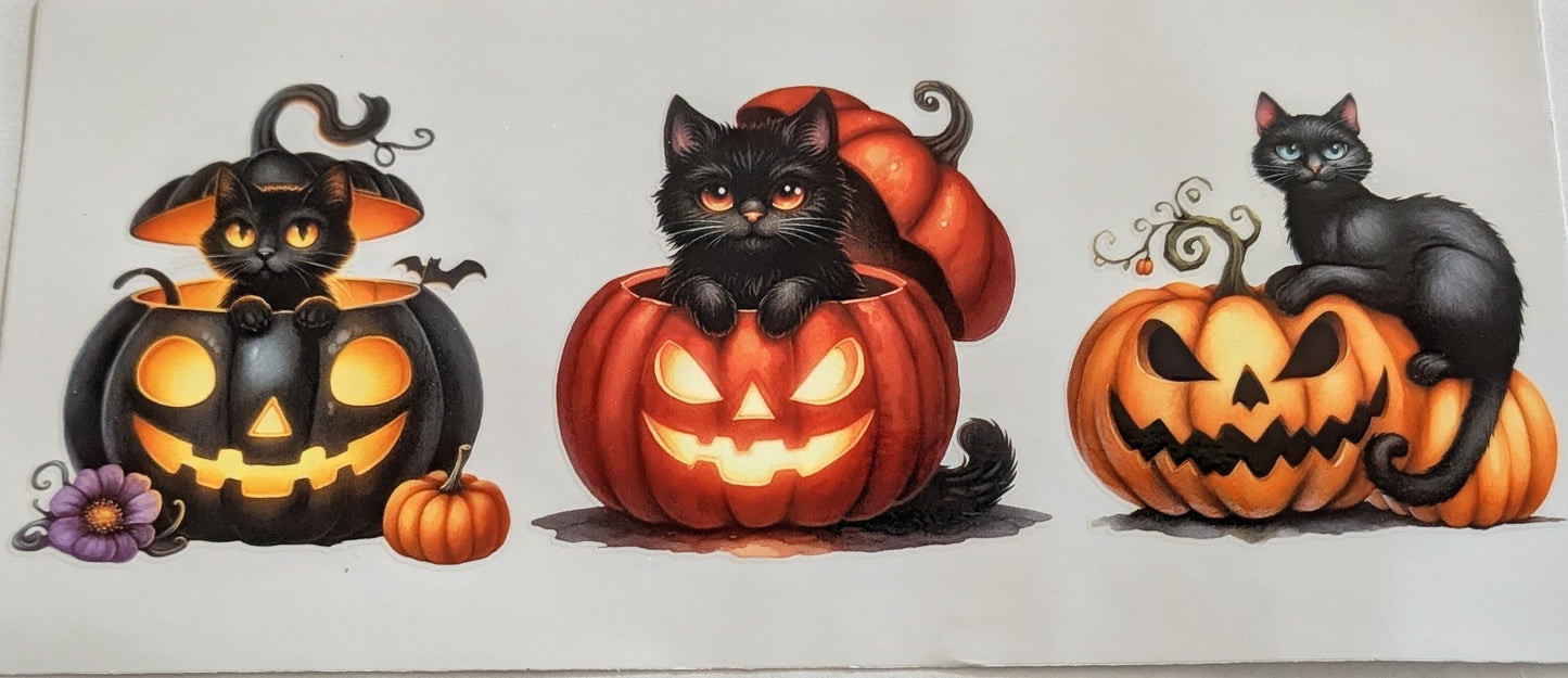 Black Cats #5
