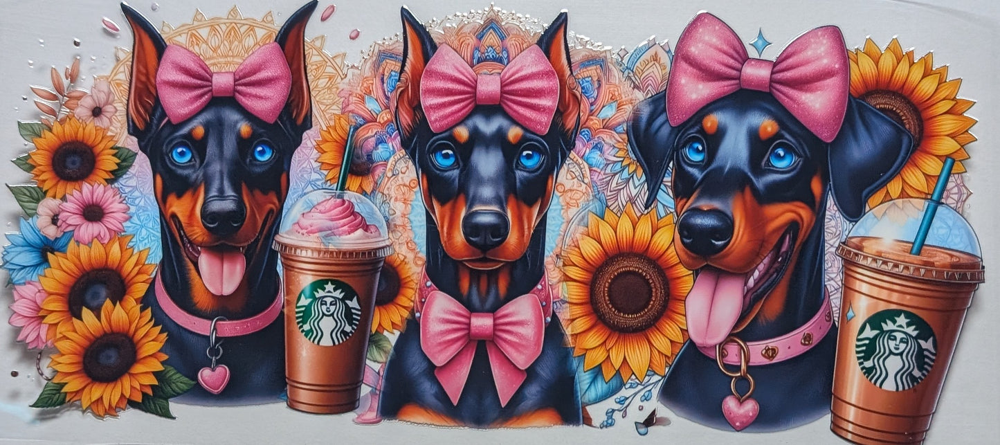 Doberman Dog