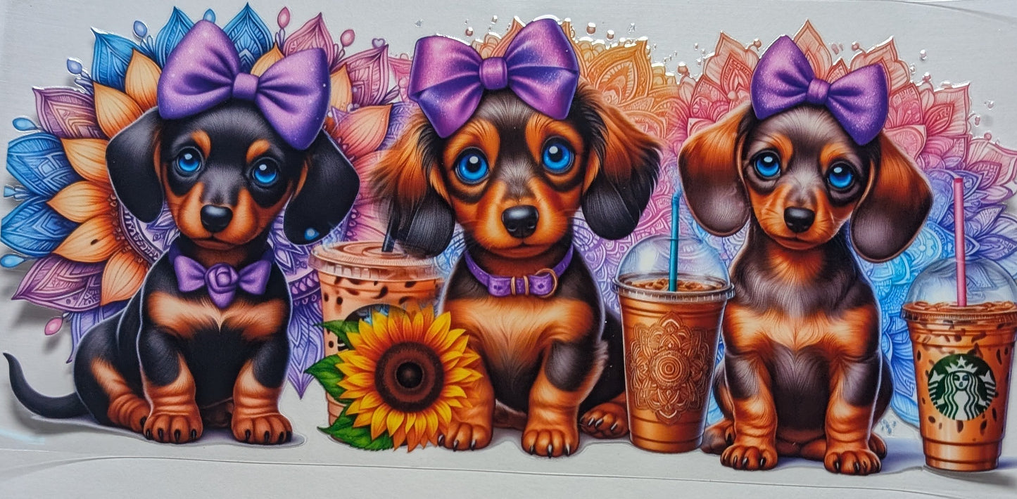 Doxin Dog