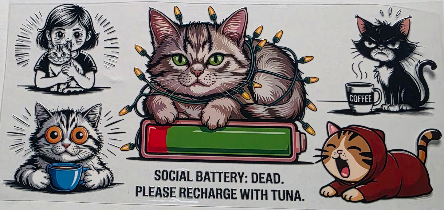 Social Battery Cat