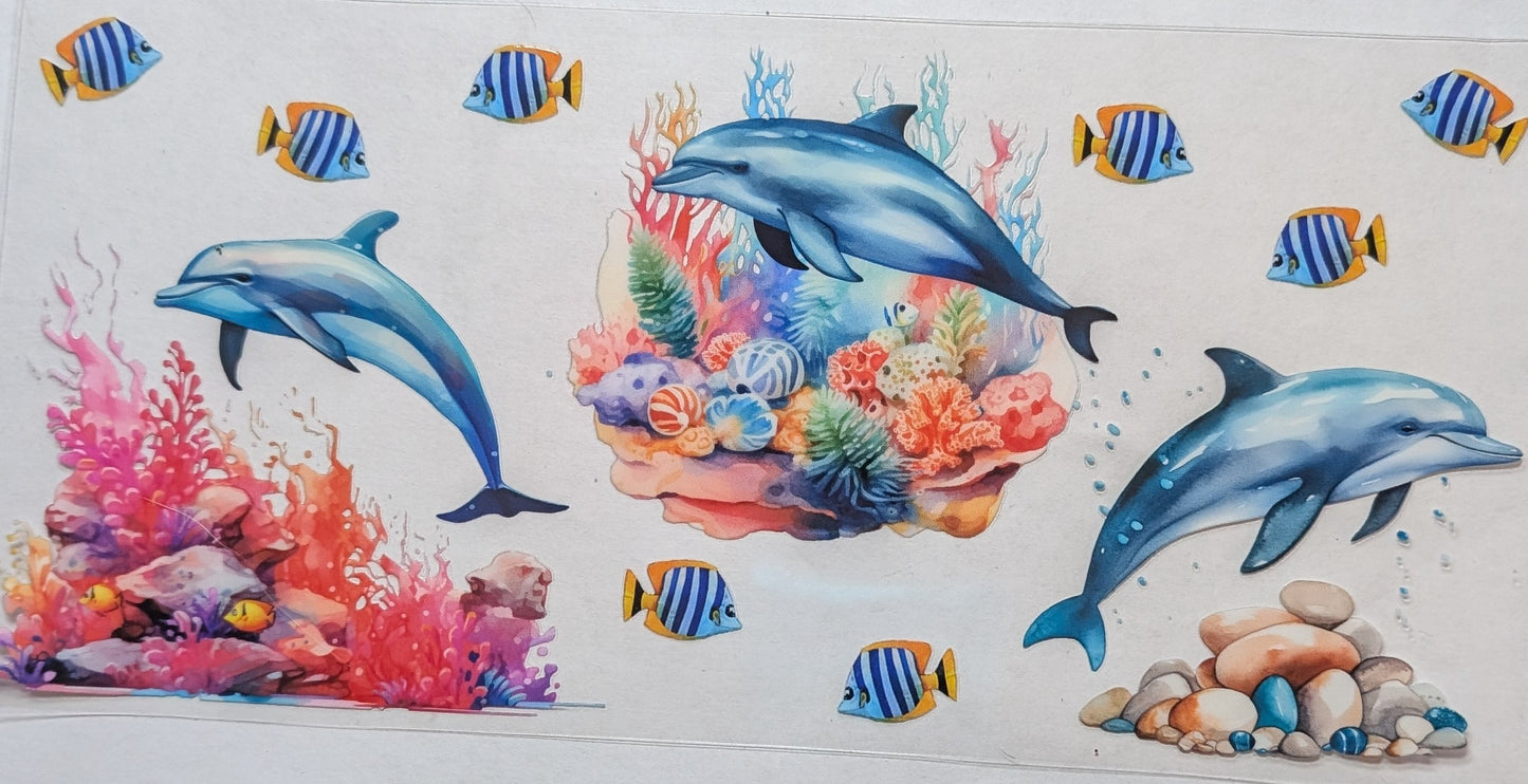 Dolphins