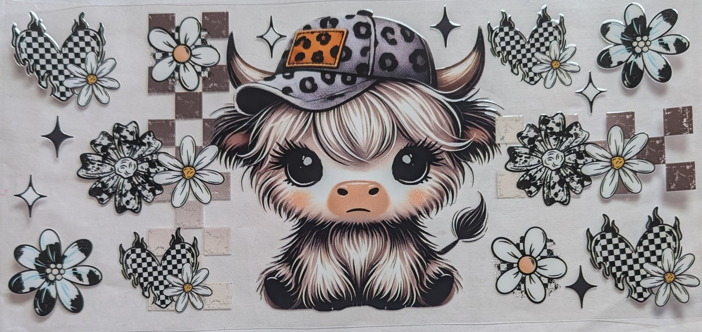 Highland Cow