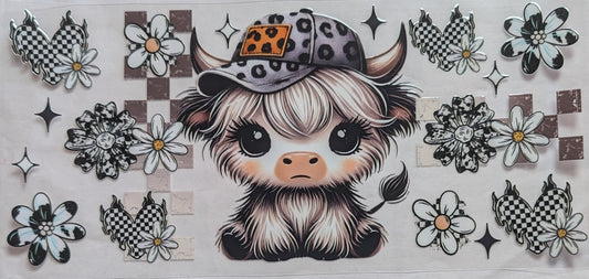 Highland Cow