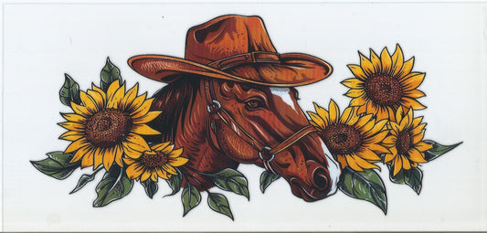 Horse with Hat