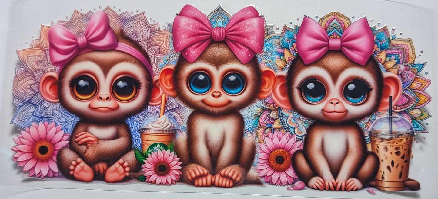 Monkeys