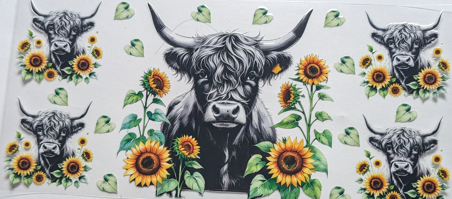Daisy Cow