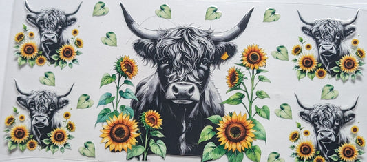 Daisy Cow