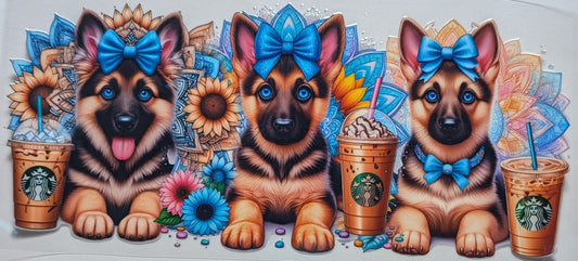Shepard Dog