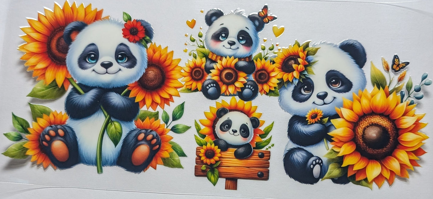 Daisy Panda