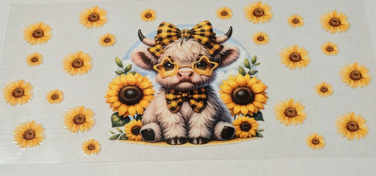 Daisy Cow