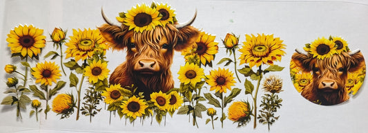 Sun Flower Cow