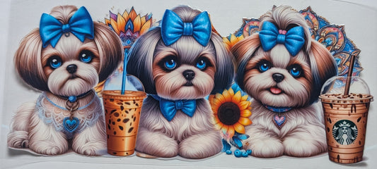 Lapsoaso Dog