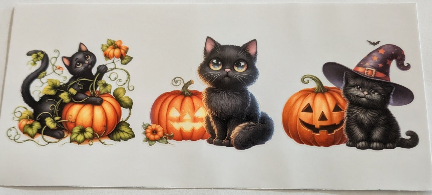 Black Cats #2