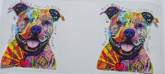 Pit Bull Dog