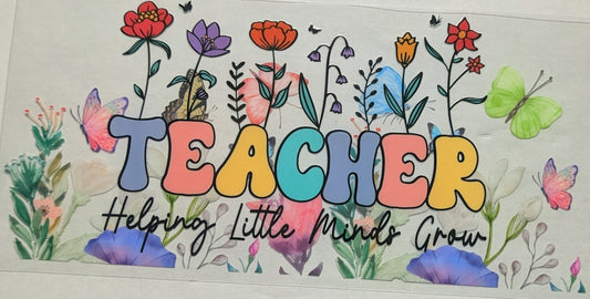 Teacher
