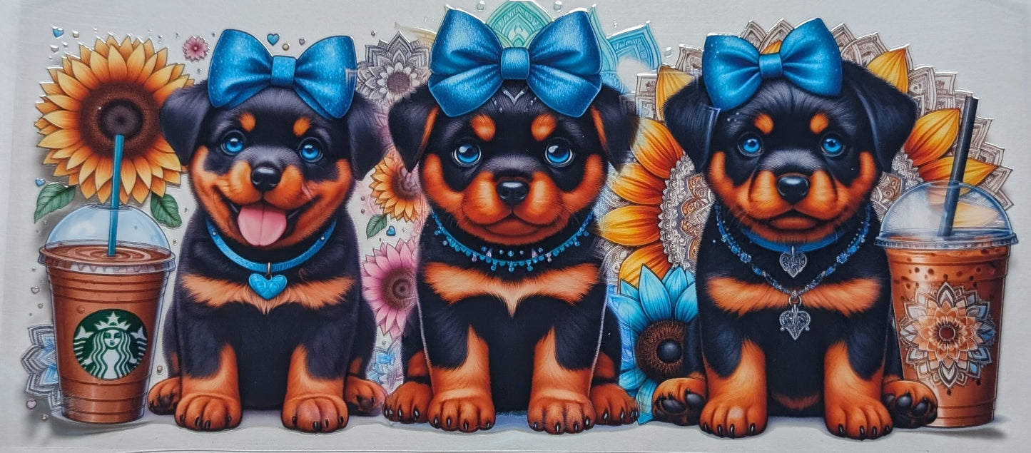 Cute Dog