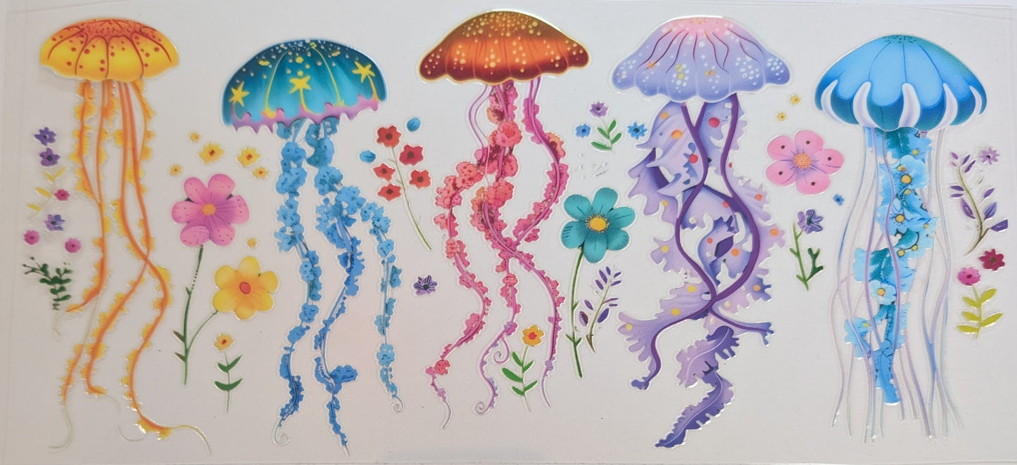 Jelly Fish